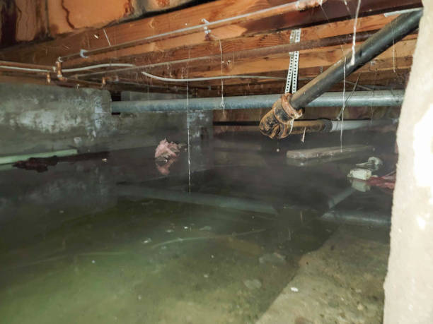 Best Water damage restoration near me  in Barnesville, GA