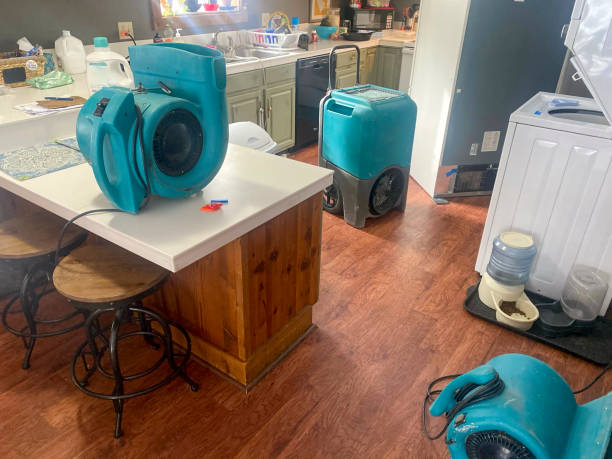Best Professional water damage repair  in Barnesville, GA