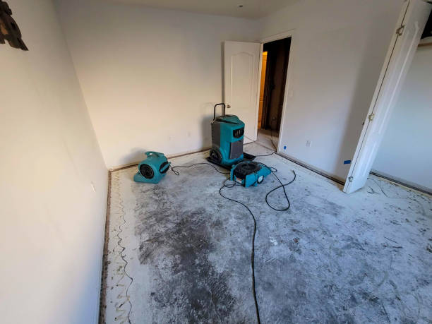 Best 24/7 water damage repair  in Barnesville, GA
