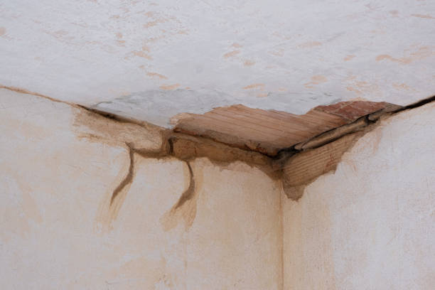 Best Mold removal after water damage  in Barnesville, GA