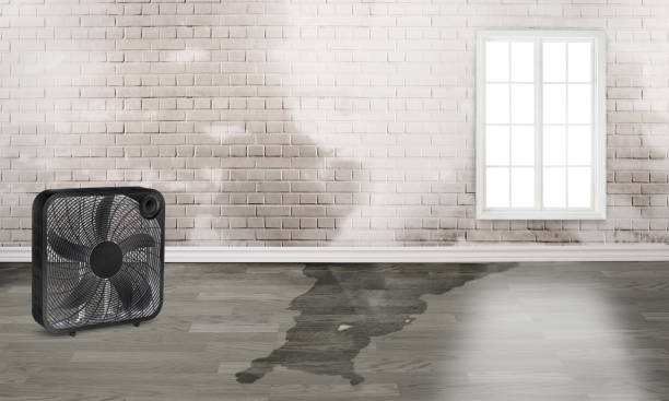 Best Water damage restoration company  in Barnesville, GA