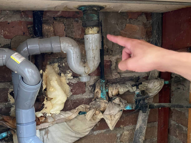 Best Ceiling water damage repair  in Barnesville, GA