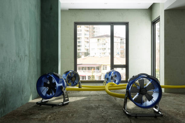 Best Basement water damage restoration  in Barnesville, GA
